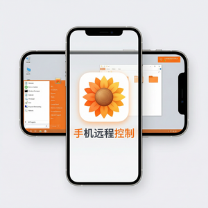 品牌 - 向日葵远程控制软件在公司内网使用的配置方法