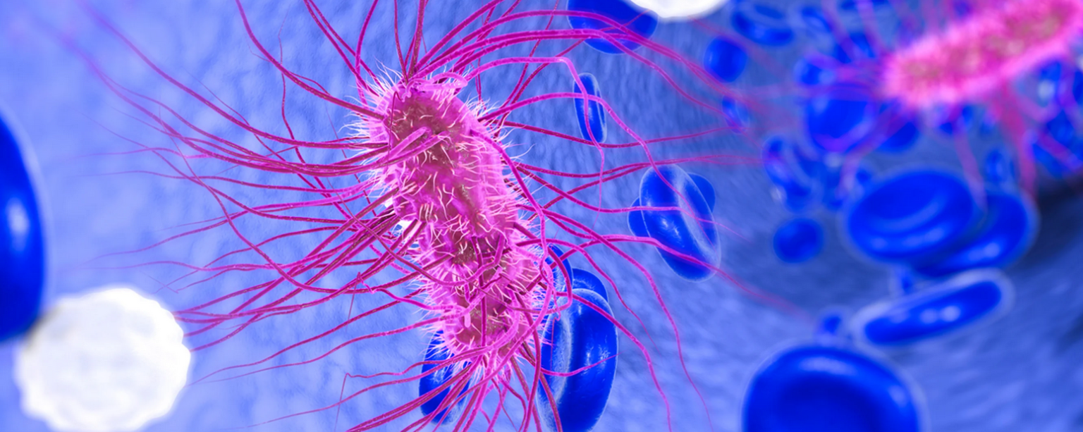 Is E. Coli Food Poisoning? Food & Kitchen